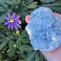 CELESTITE GEODE