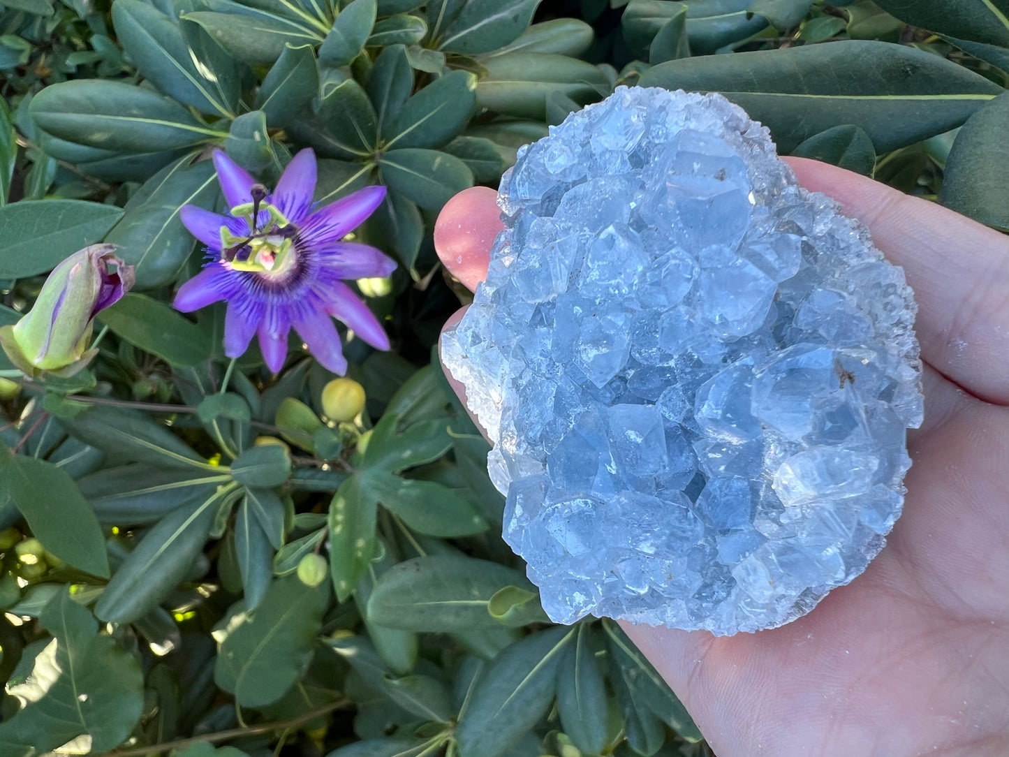 CELESTITE GEODE