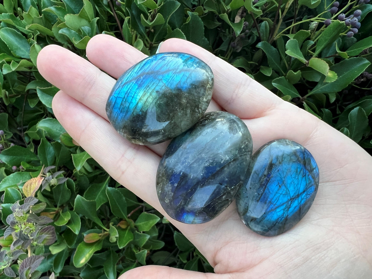 LABRADORITE PALM STONE - HIGH QUALITY FLASH