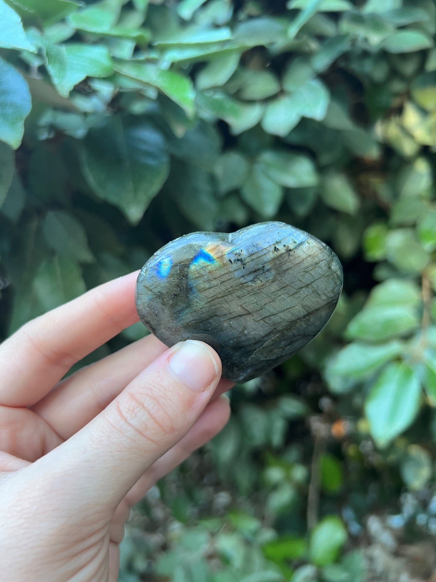 LABRADORITE HEART SHAPED PALM STONE