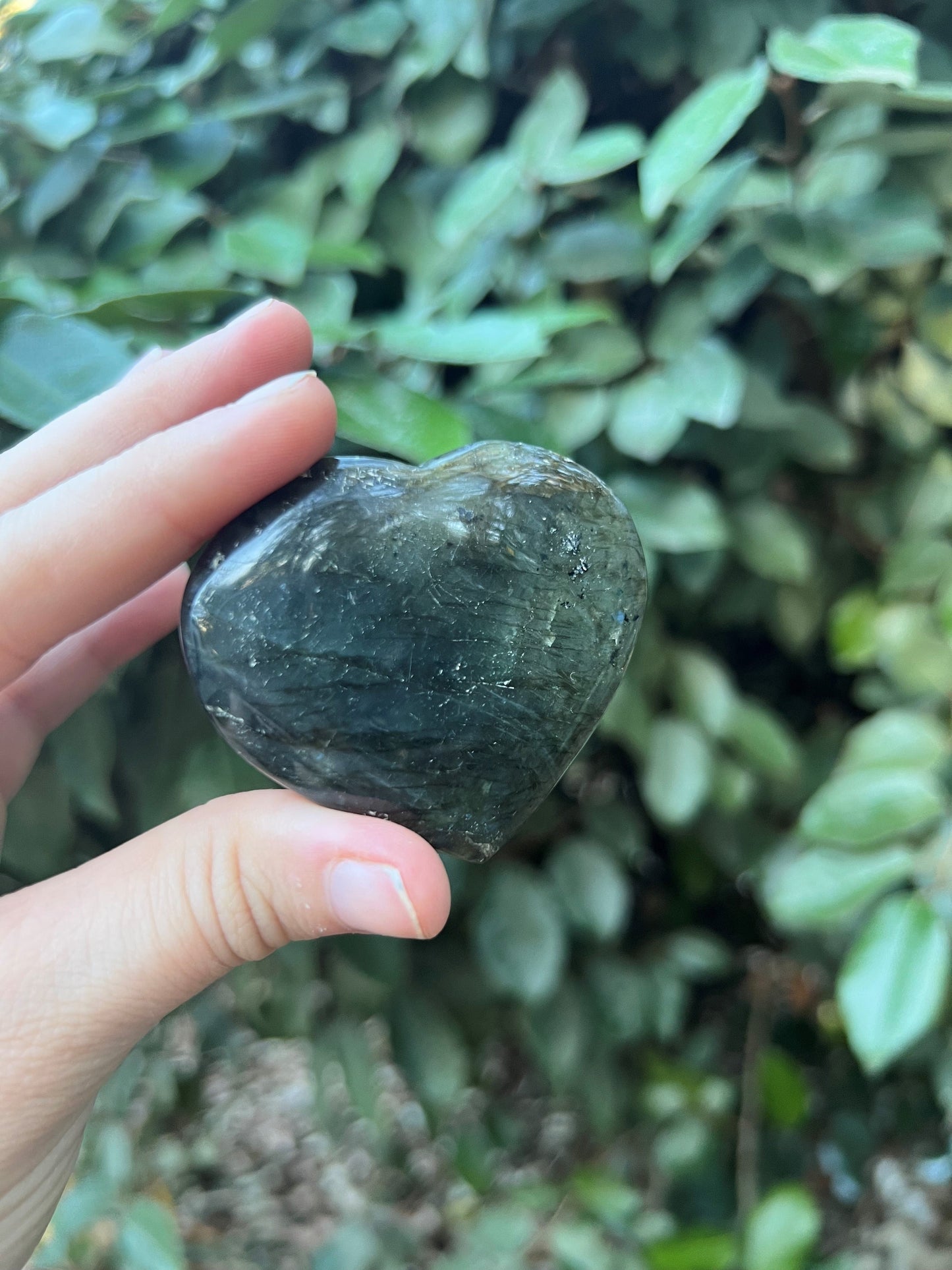 LABRADORITE HEART SHAPED PALM STONE