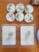 SOUL TRIBE WAX MELTS