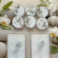 A set of four soy wax melt candles. Two are in clear packaging, and two are out of packaging showing the white wax and a sprig of herbs.