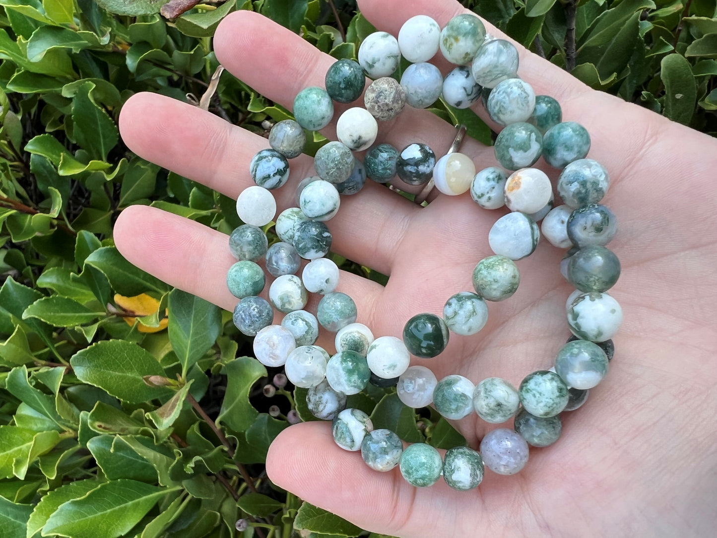 TREE AGATE BRACELET