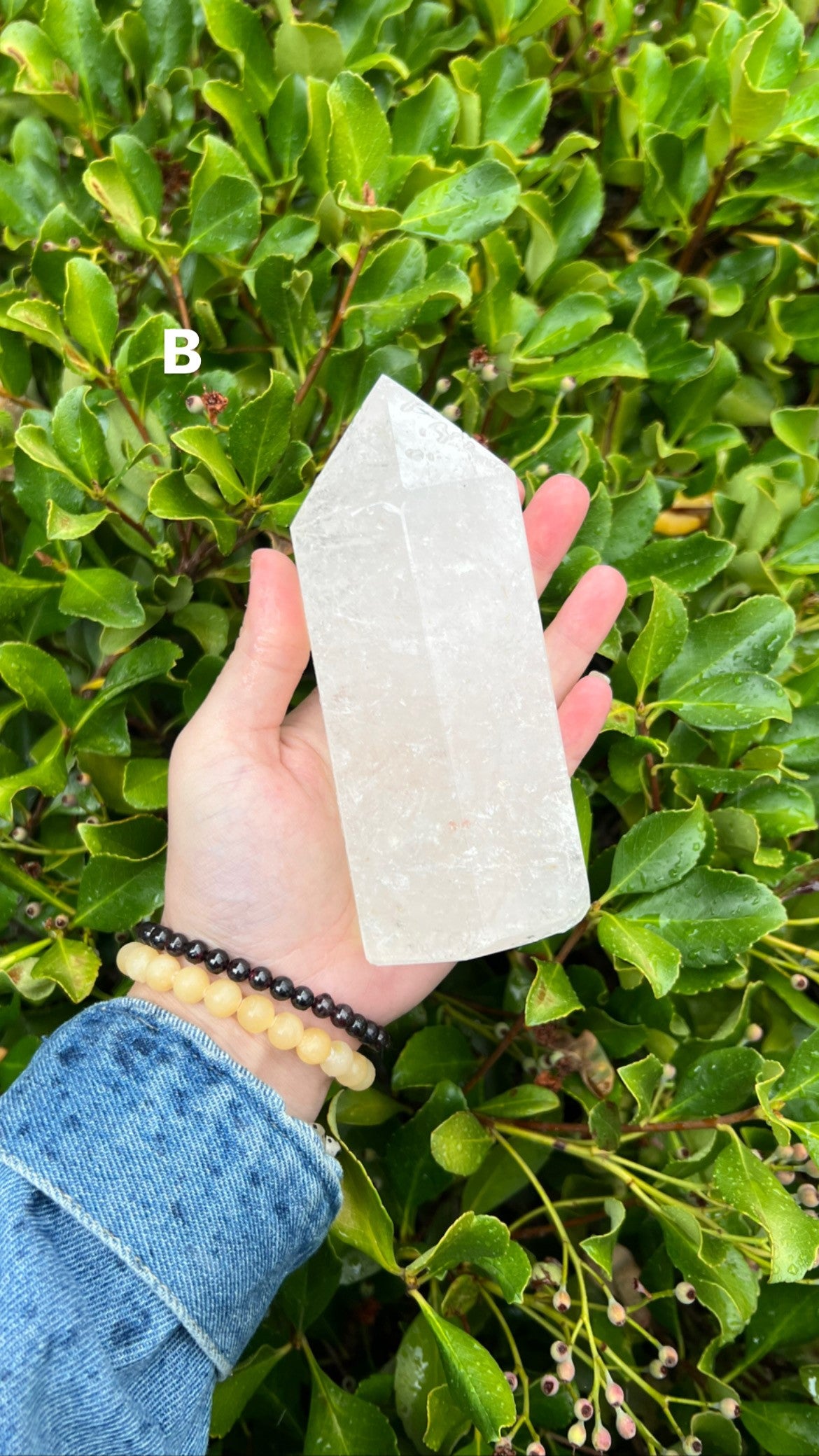 CLEAR QUARTZ TOWERS