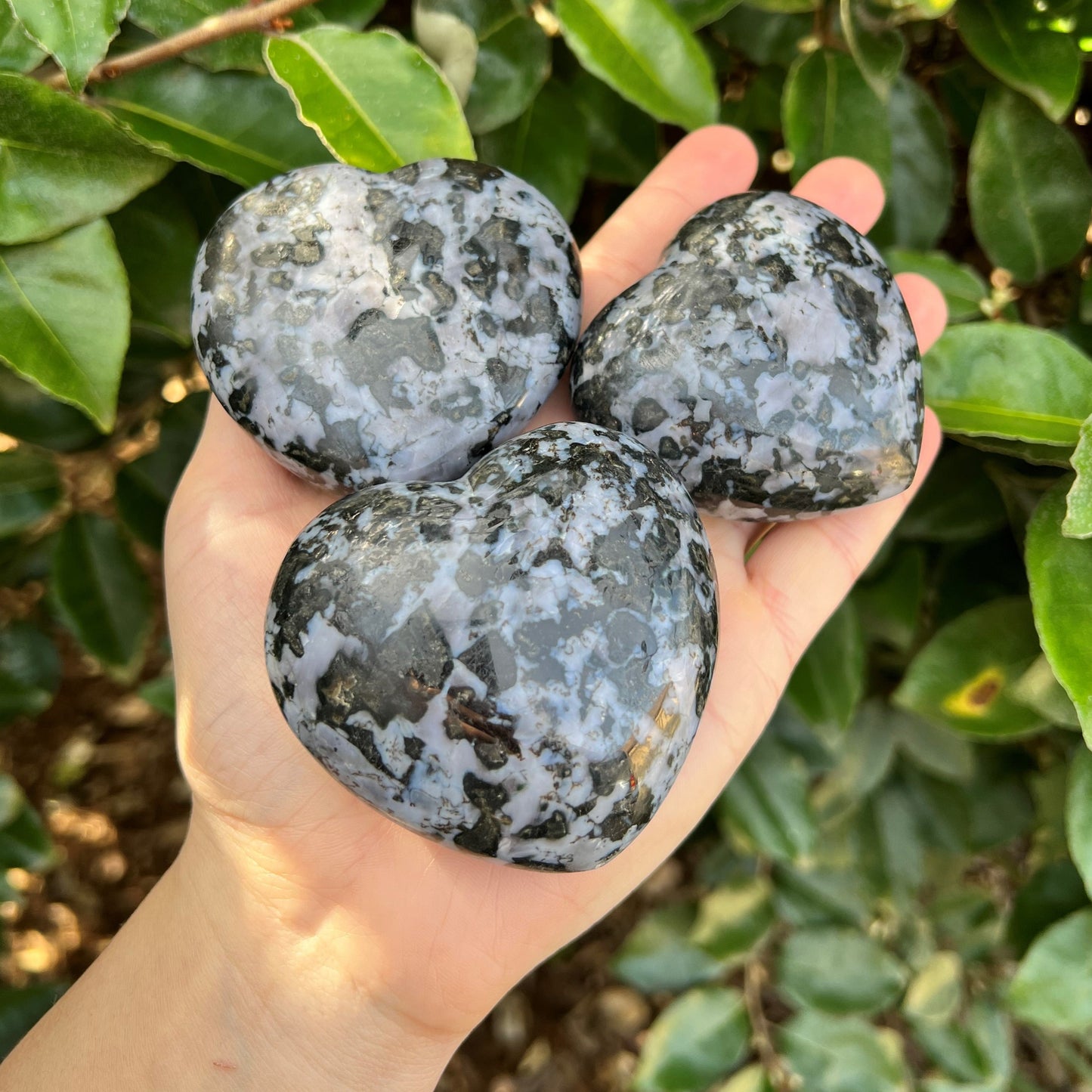 GABBRO HEART SHAPED PALM STONE