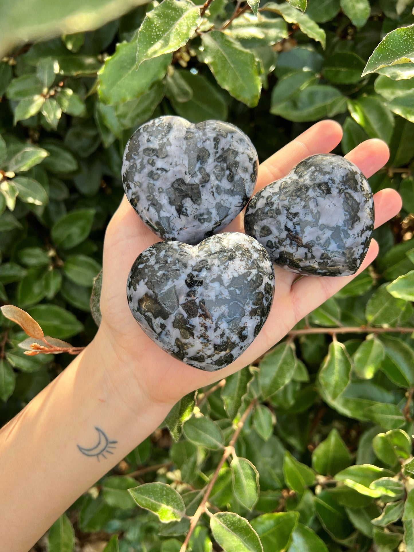 GABBRO HEART SHAPED PALM STONE