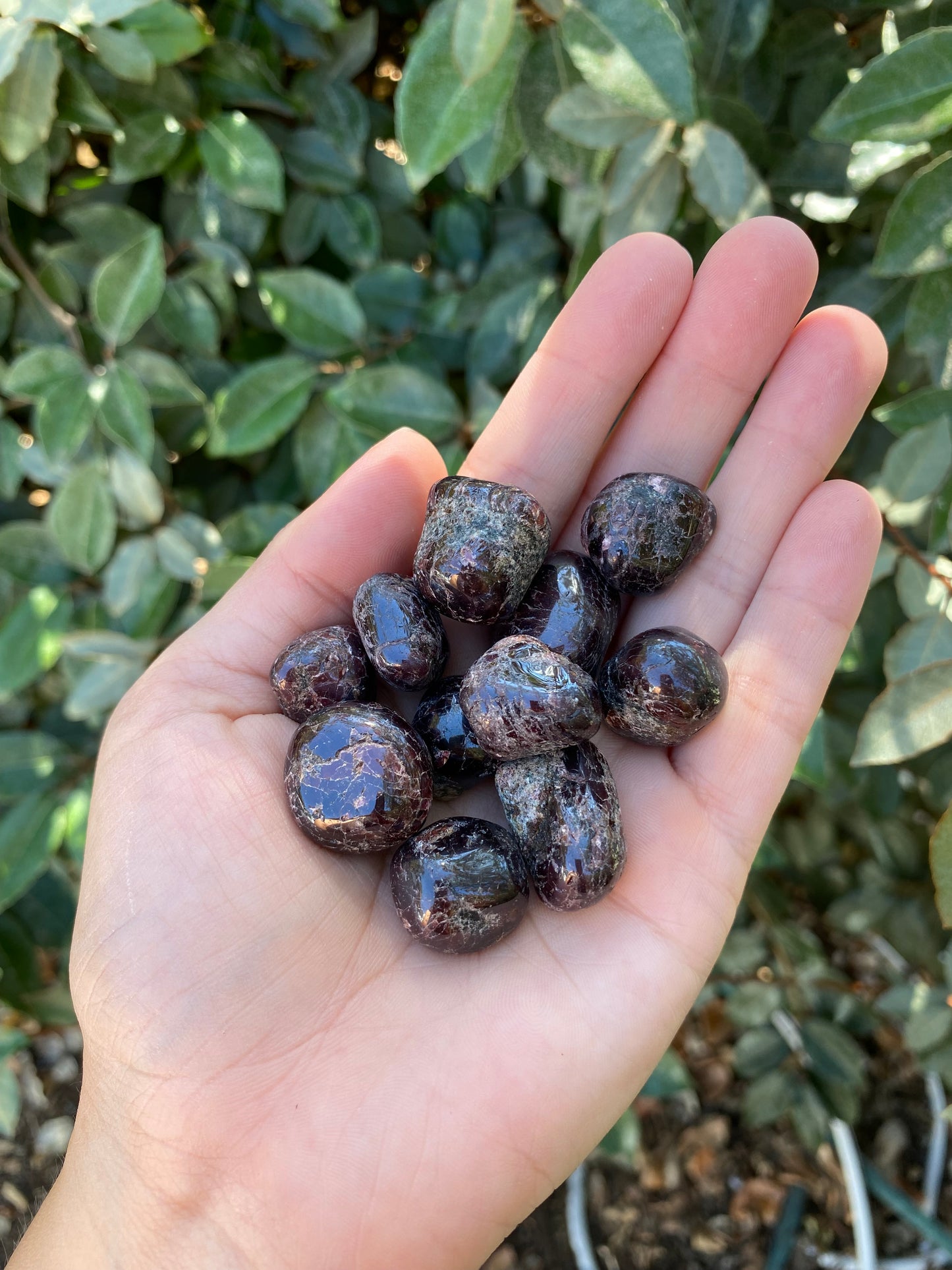 GARNET TUMBLED STONE