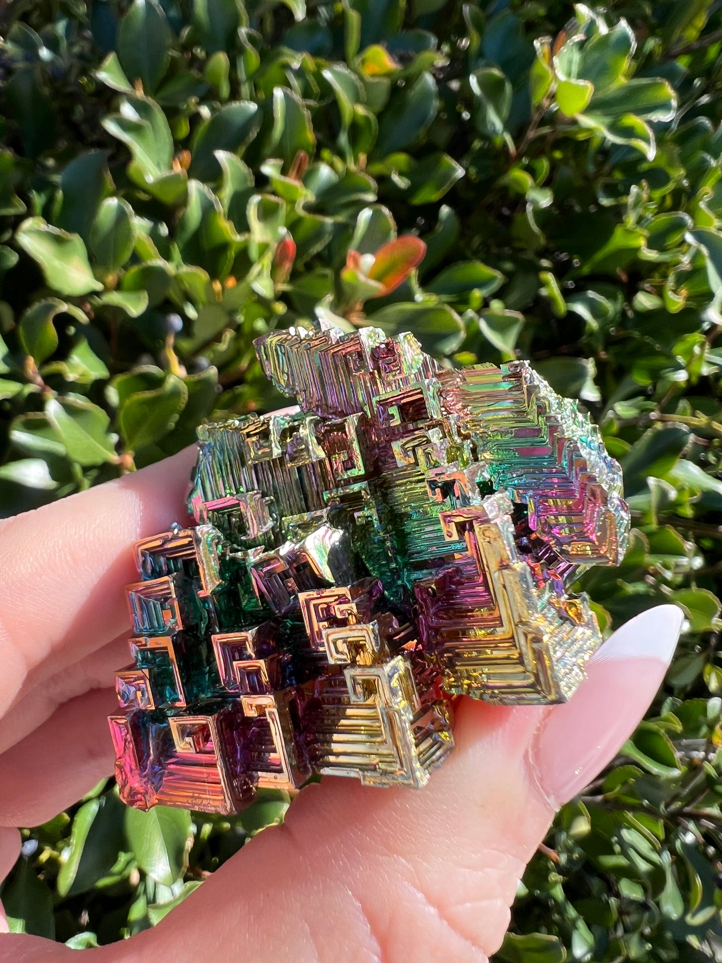 BISMUTH CLUSTER