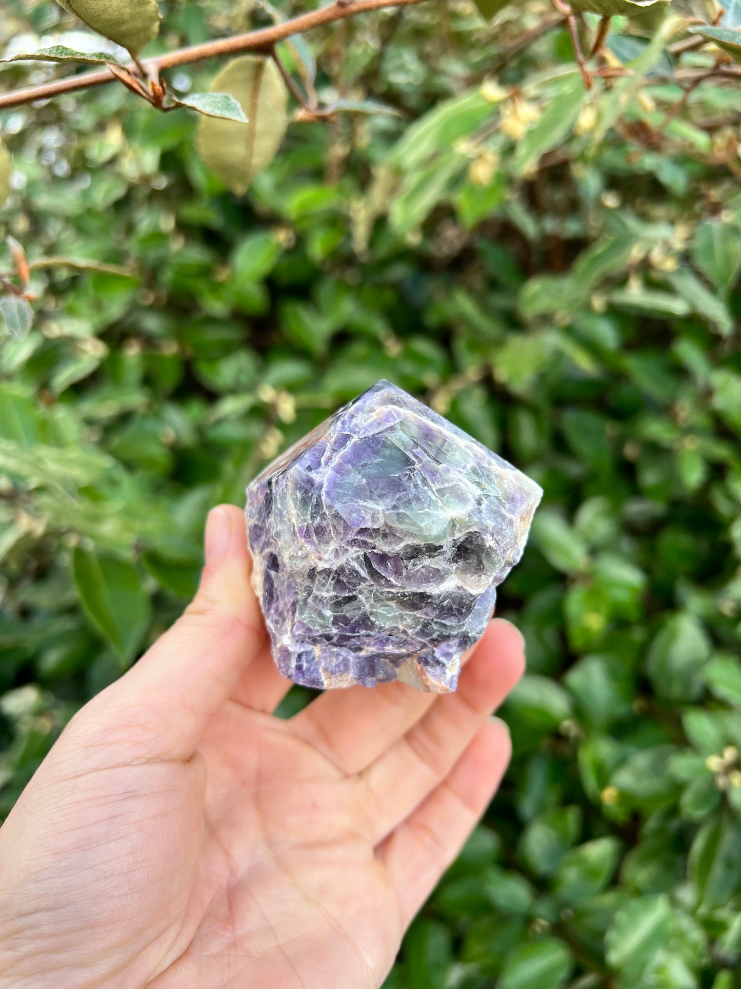 FLUORITE TOP POLISH POINT