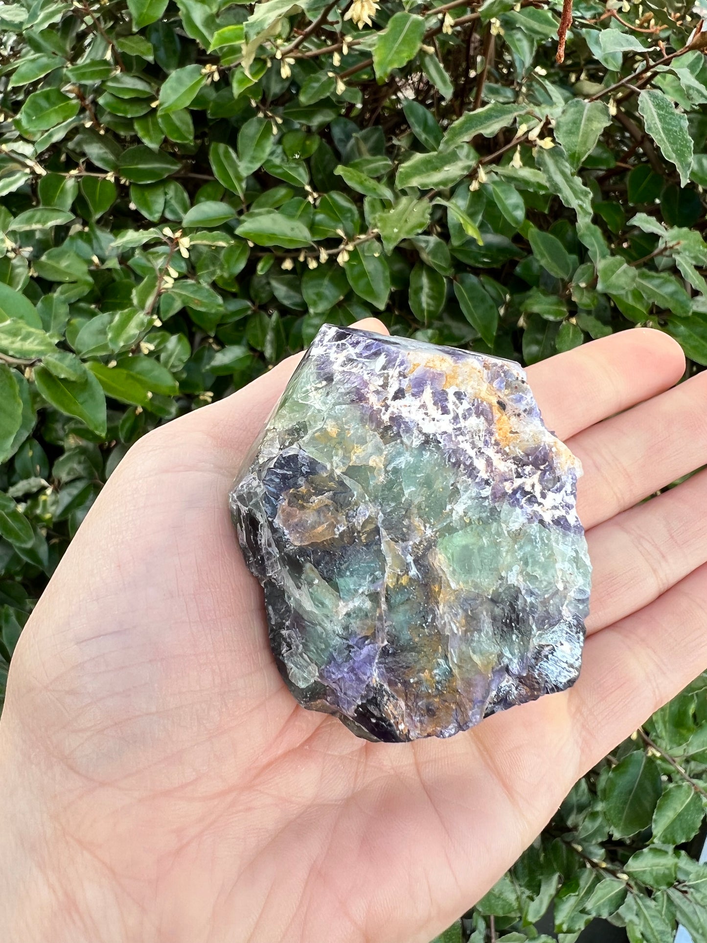 FLUORITE TOP POLISH POINT