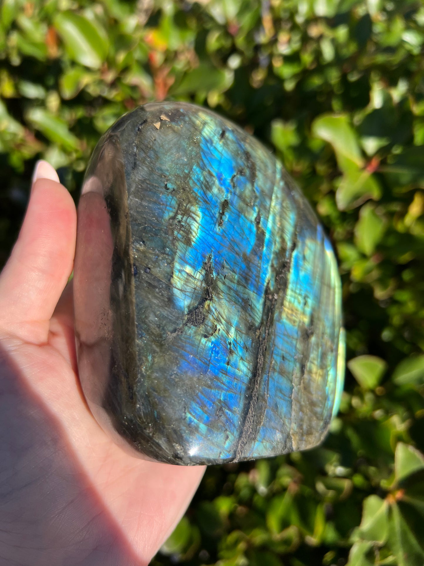 LABRADORITE HIGH QUALITY FREE FORM