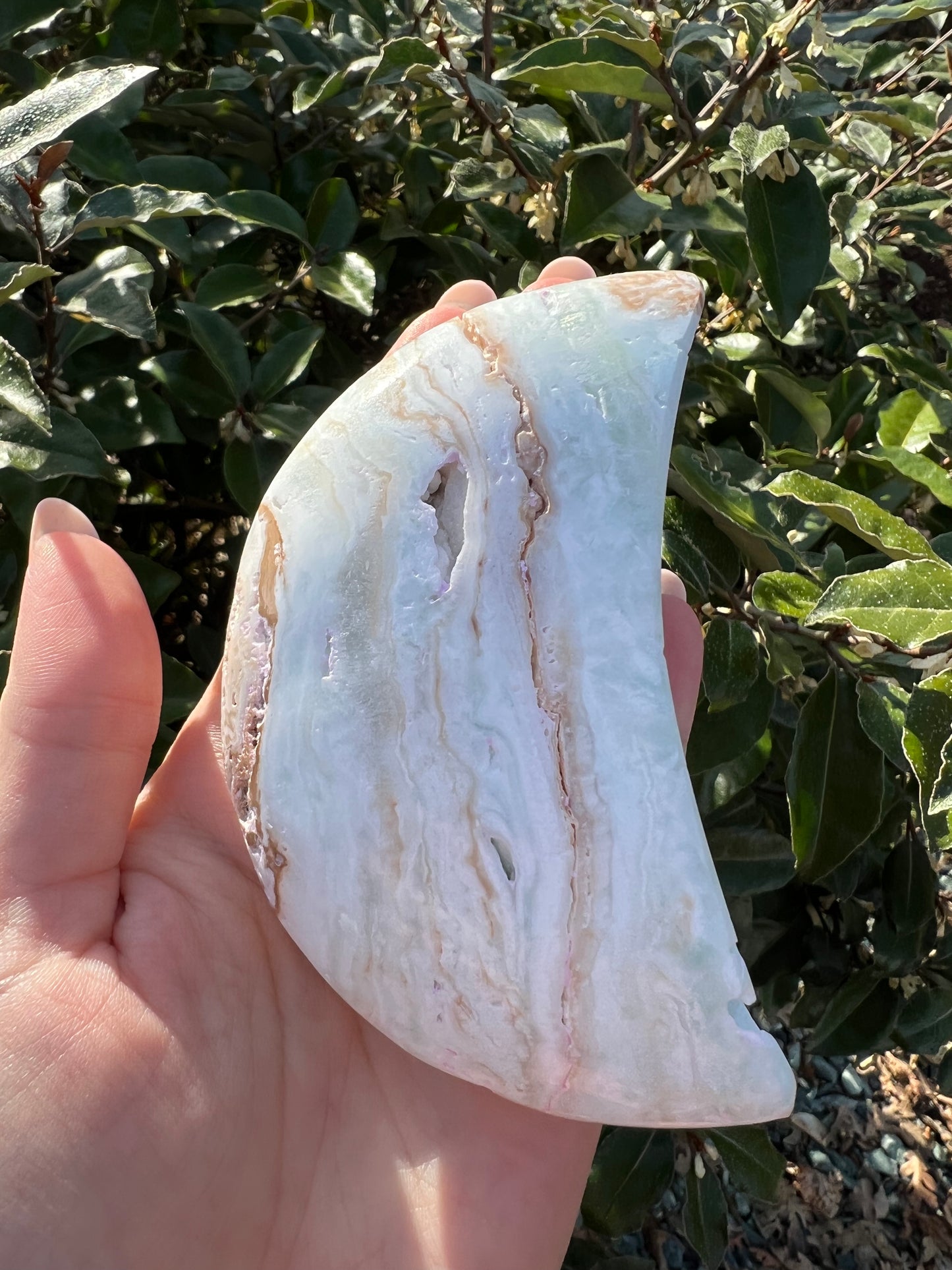 CARIBBEAN CALCITE MOON