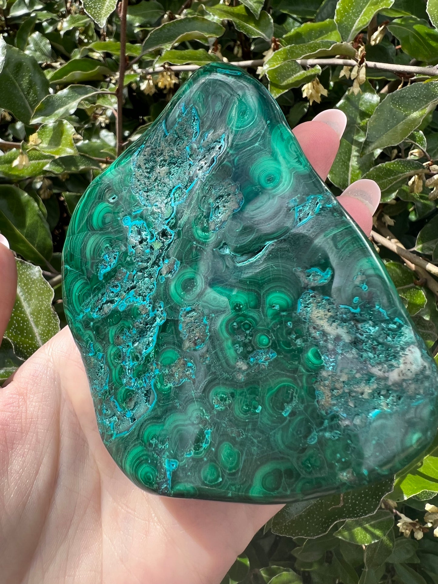 MALACHITE CHRYSOCOLLA FREE FORM