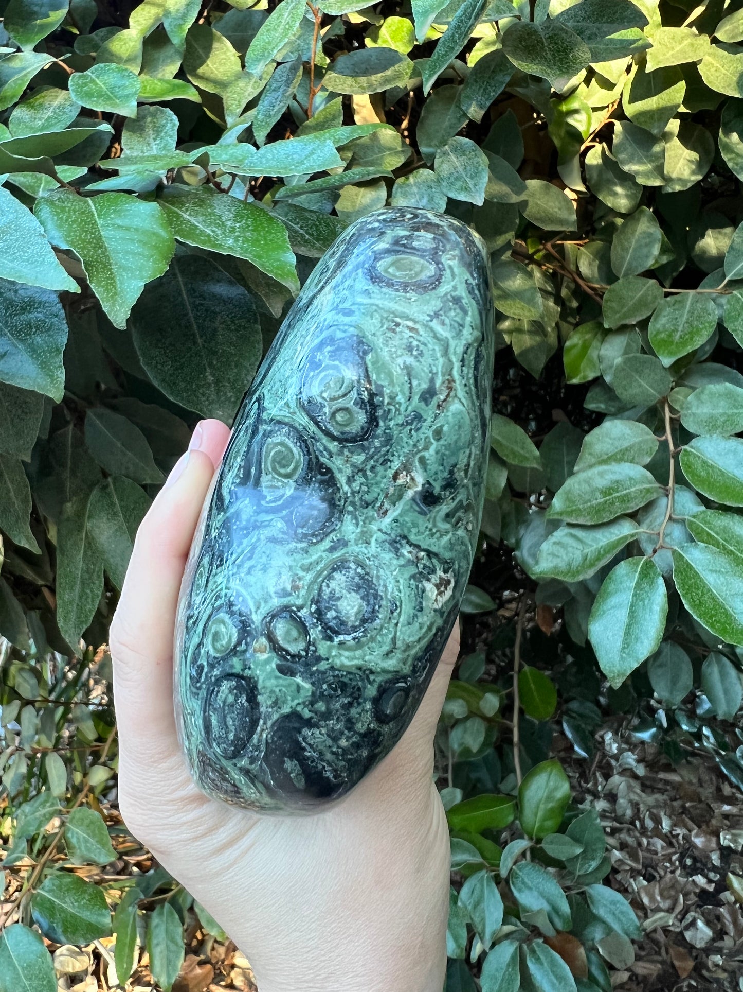 KAMBAMBA CROCODILE JASPER HEART