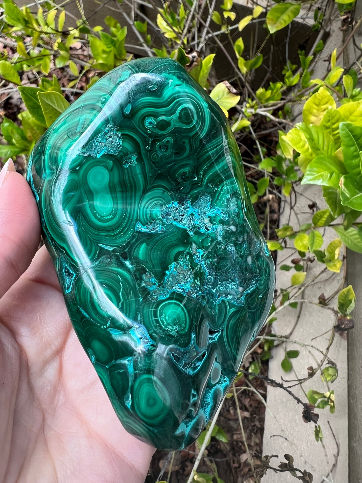 MALACHITE CHRYSOCOLLA FREE FORM