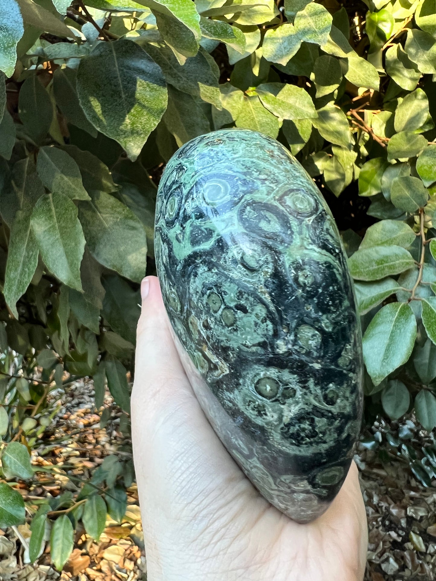 KAMBAMBA CROCODILE JASPER HEART