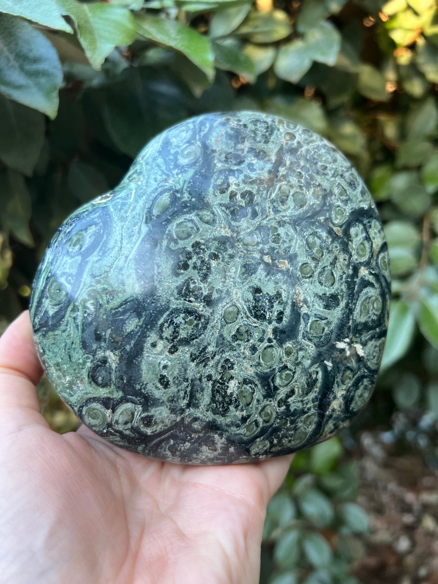 KAMBAMBA CROCODILE JASPER HEART