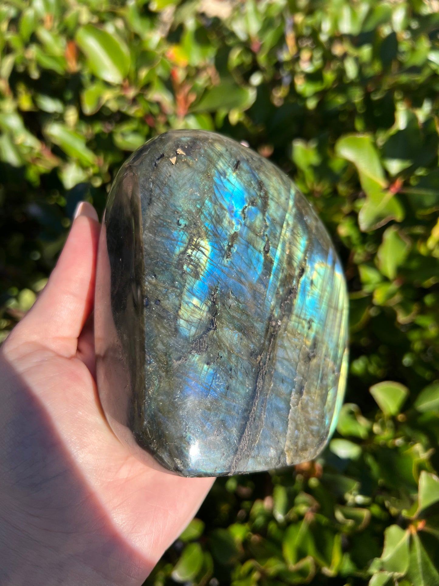 LABRADORITE HIGH QUALITY FREE FORM