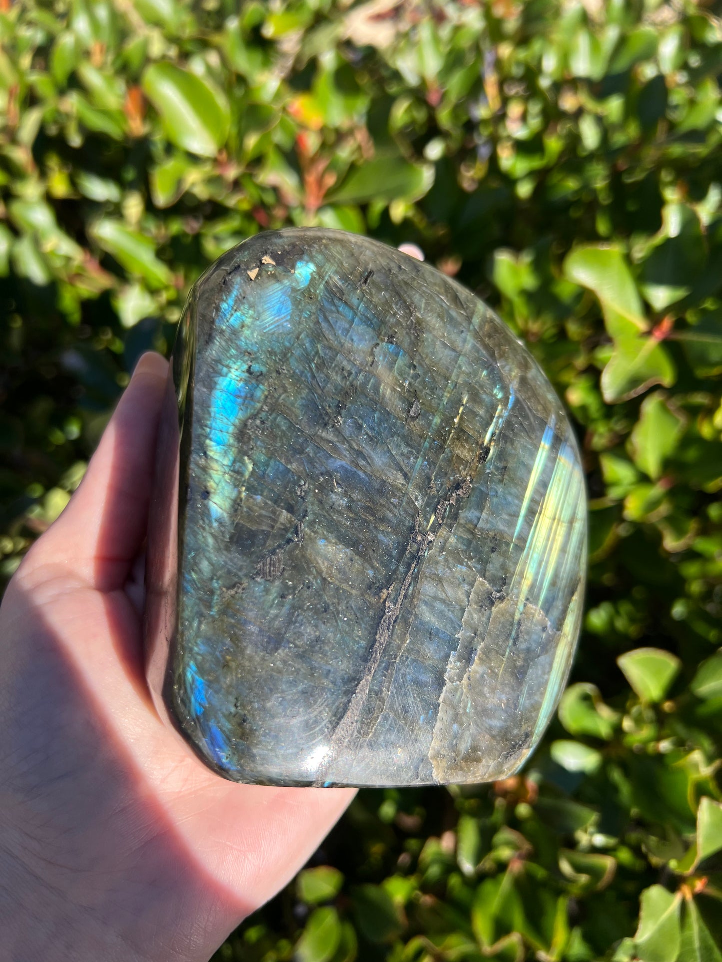 LABRADORITE HIGH QUALITY FREE FORM