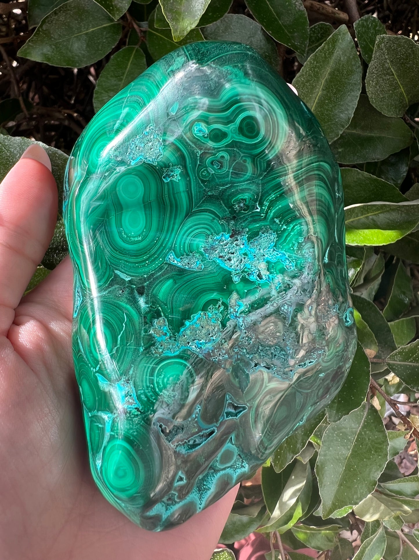 MALACHITE CHRYSOCOLLA FREE FORM