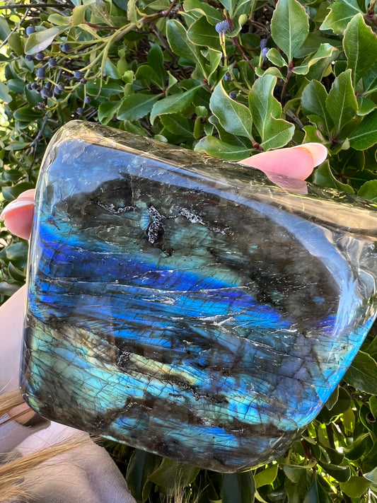 LABRADORITE HIGH QUALITY FREE FORM