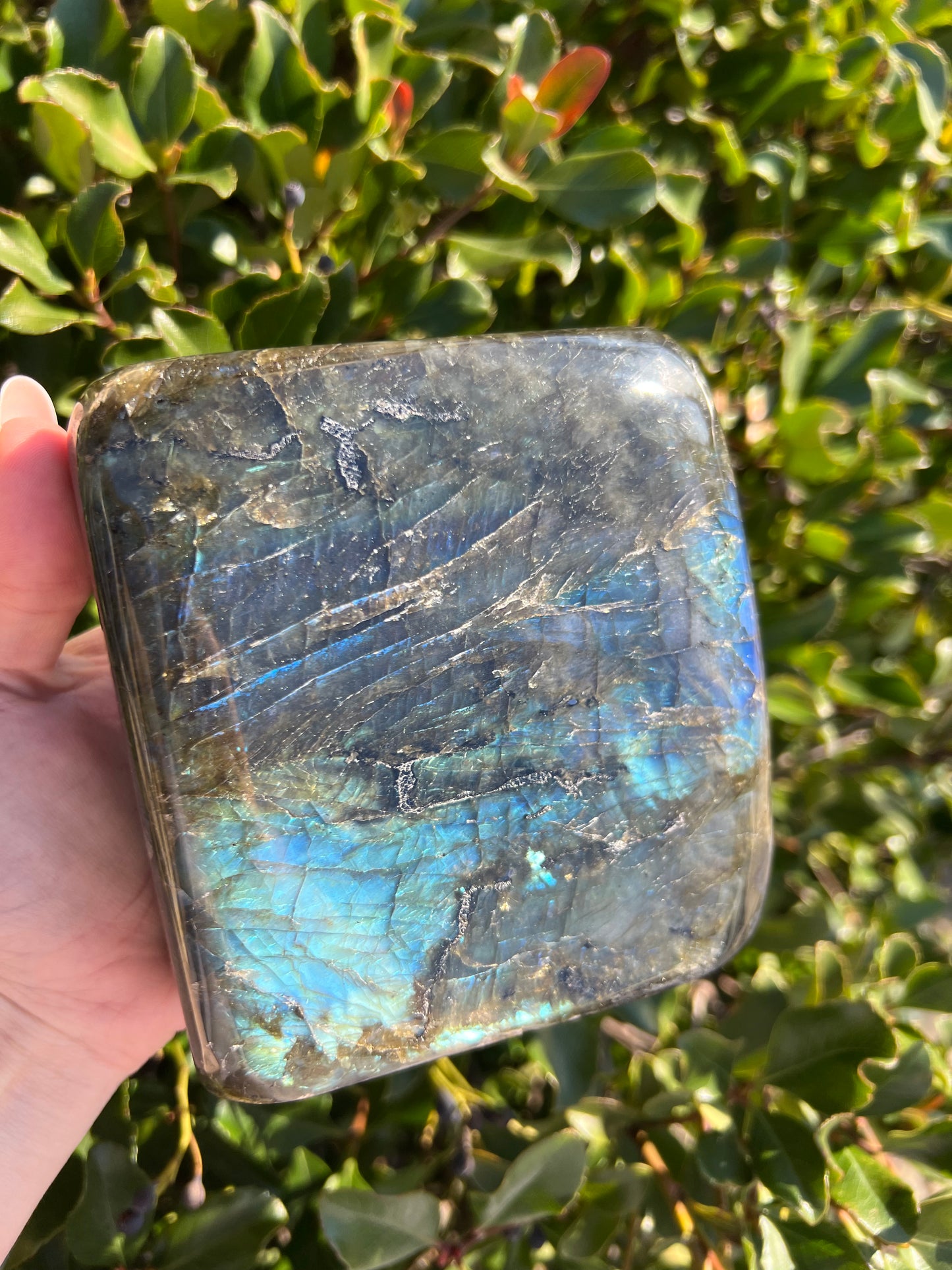 LABRADORITE HIGH QUALITY FREE FORM