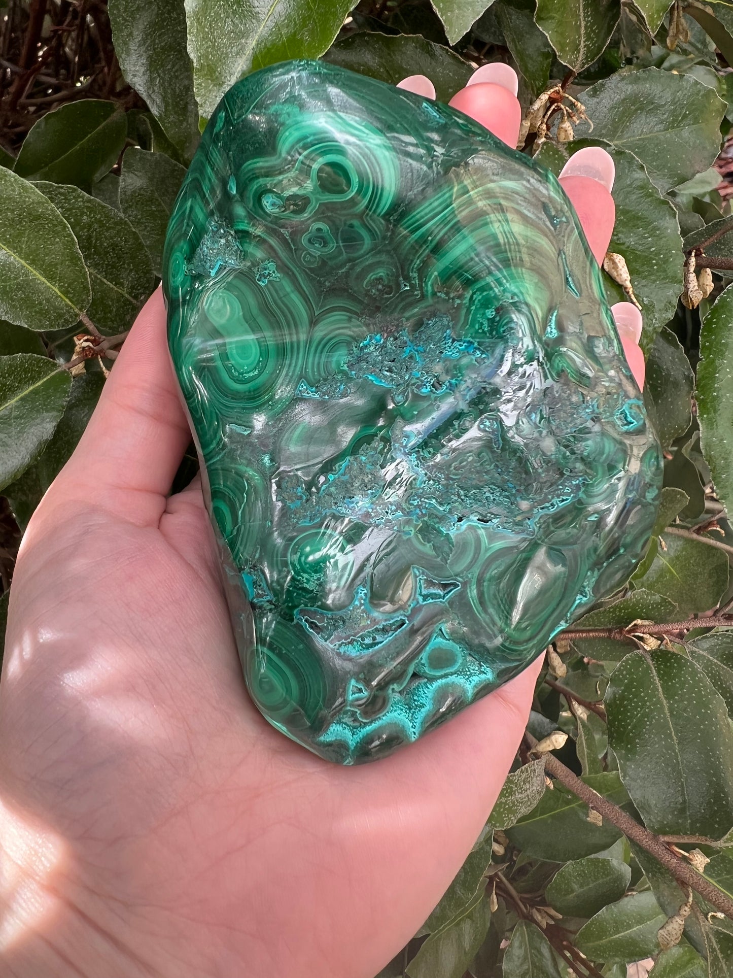 MALACHITE CHRYSOCOLLA FREE FORM