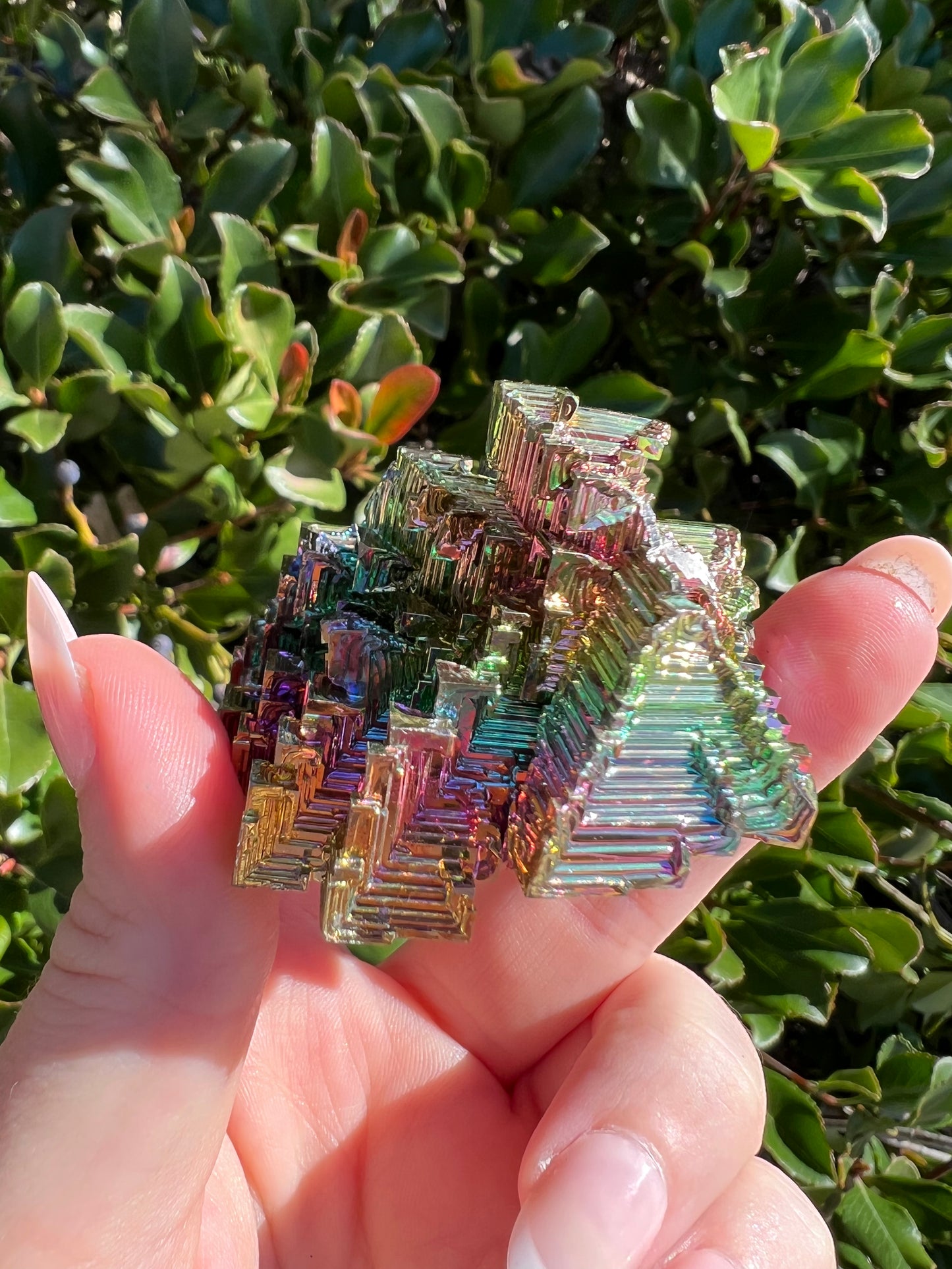 BISMUTH CLUSTER