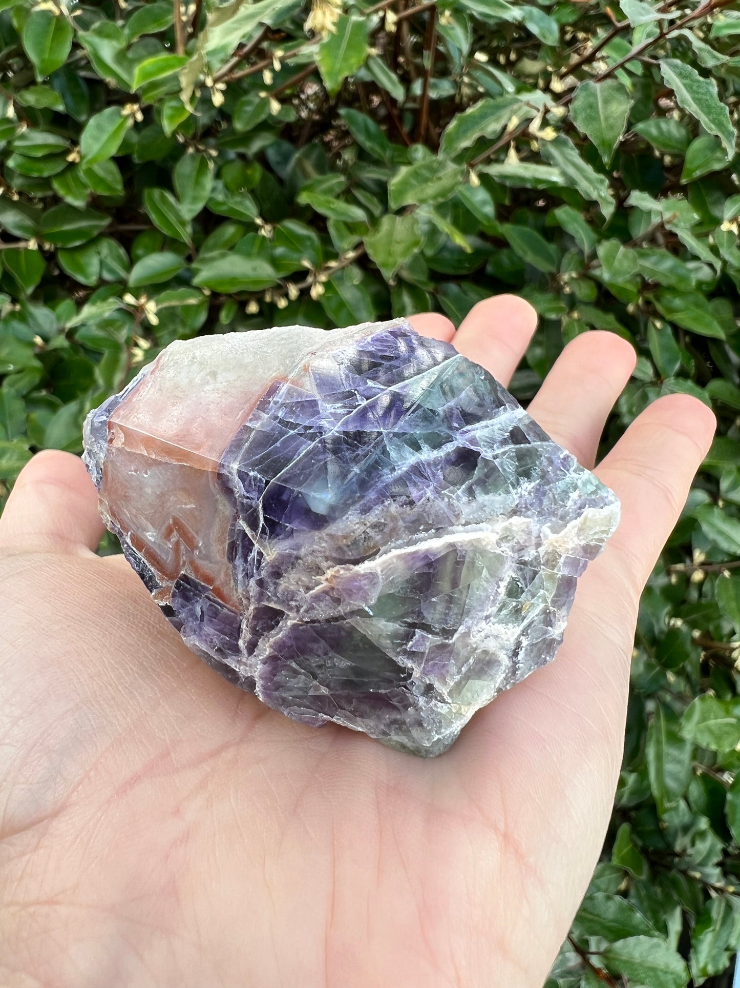 FLUORITE TOP POLISH POINT