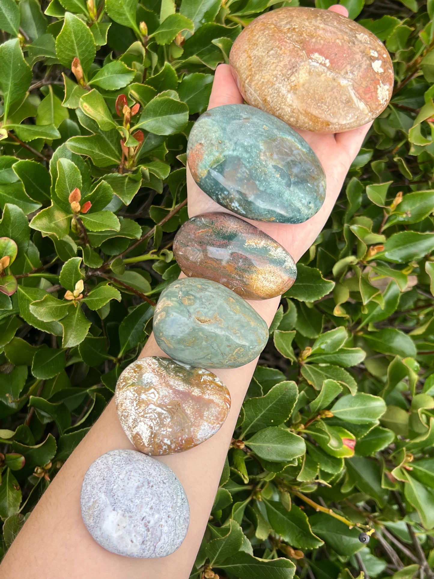 OCEAN JASPER PALM STONE