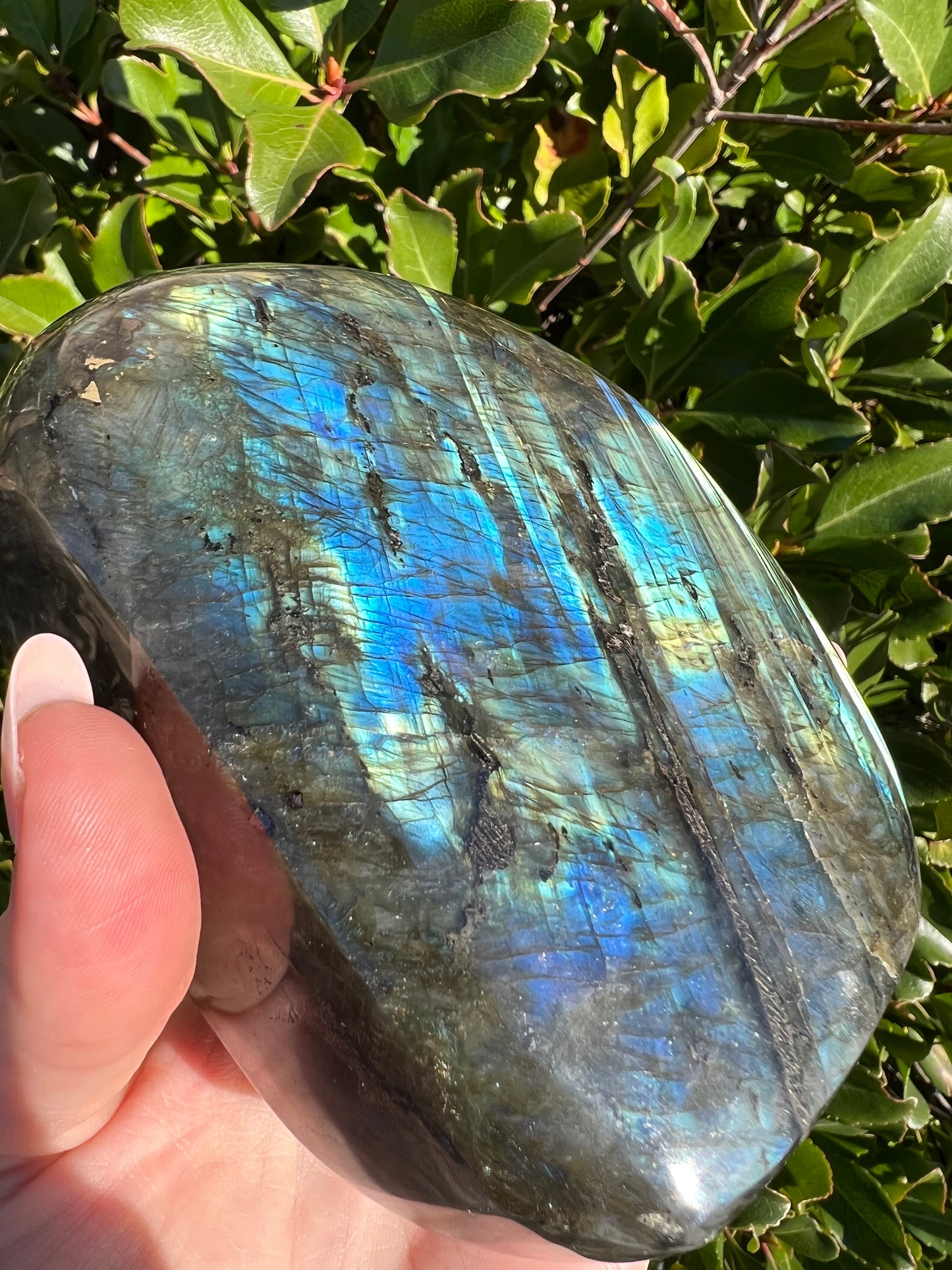 LABRADORITE HIGH QUALITY FREE FORM