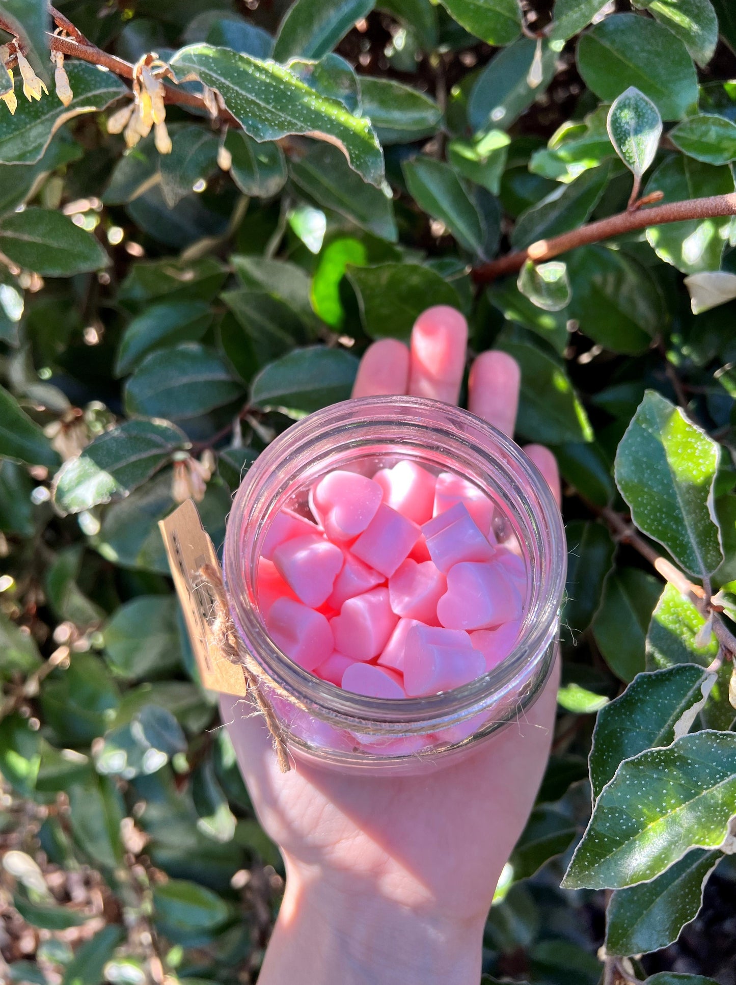 JAR OF HEARTS