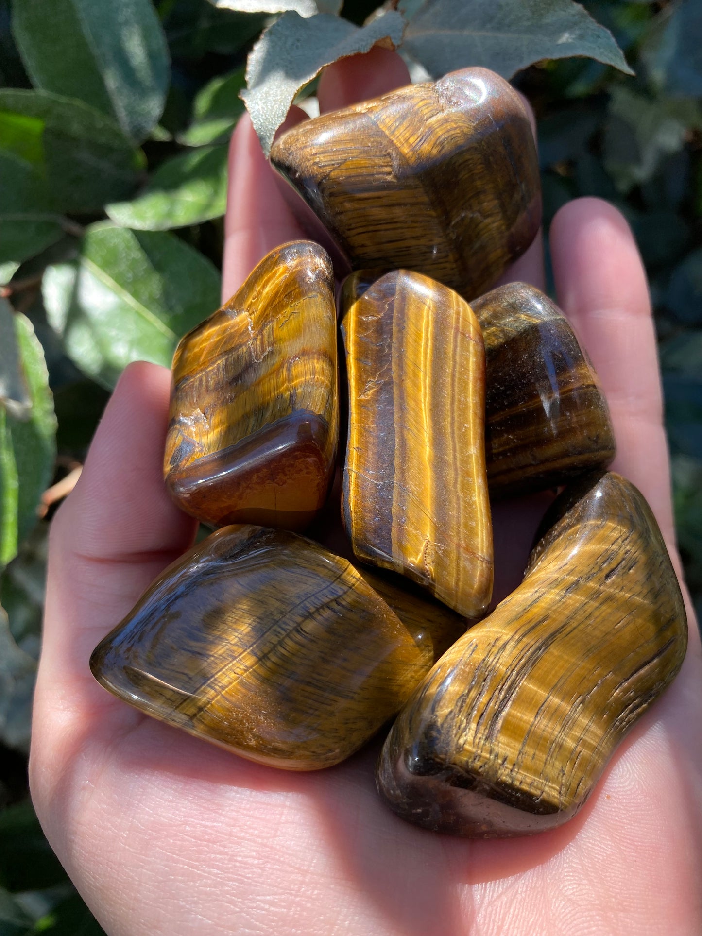 TIGERS EYE TUMBLED STONE XL