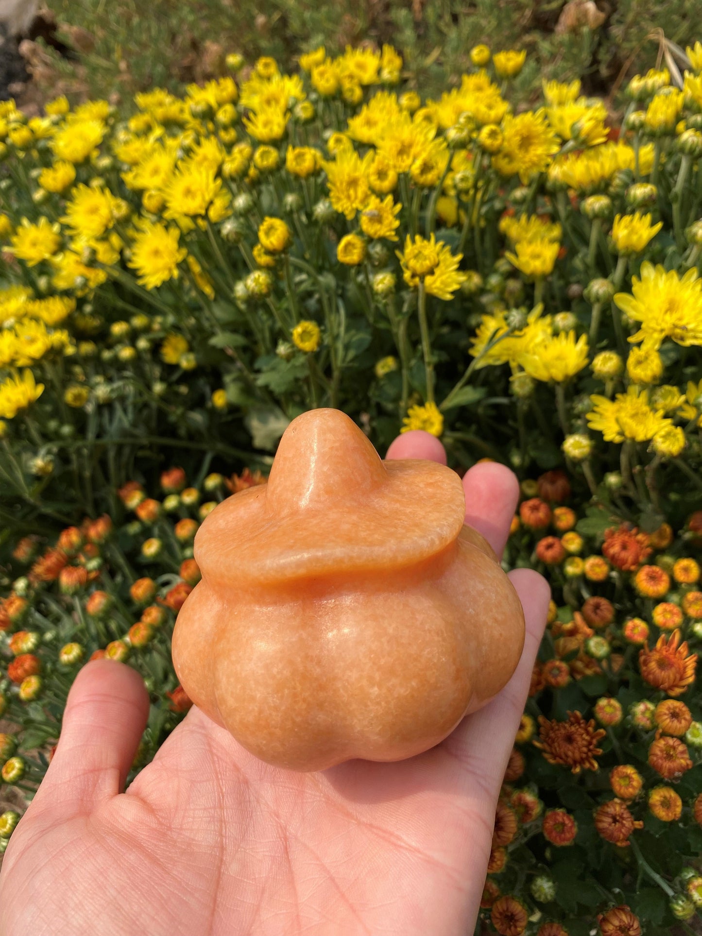 ORANGE CALCITE PUMPKIN