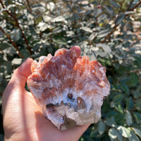 TRI COLORED CALCITE