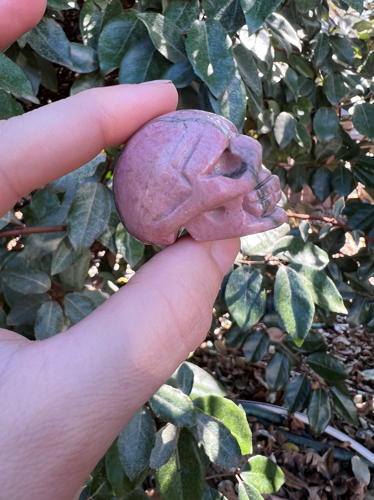 RHODONITE SKULL